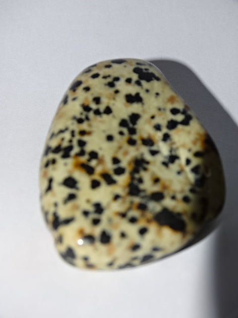 Dalmation Jasper Egg and Palm stone Set