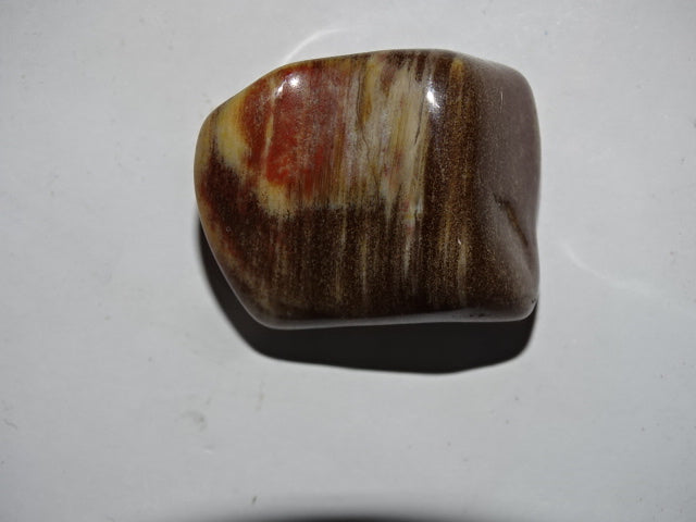 Petrified Wood  Polished and Tumbled Palm Stone  3 x 3.5cm Approx and Mini Smudge Set