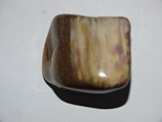 Petrified Wood  Polished and Tumbled Palm Stone  3 x 3.5cm Approx and Mini Smudge Set