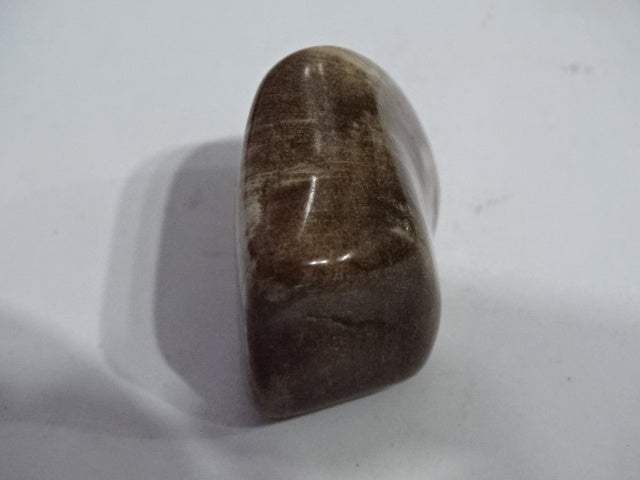Petrified Wood  Polished and Tumbled Palm Stone  3 x 3.5cm Approx and Mini Smudge Set