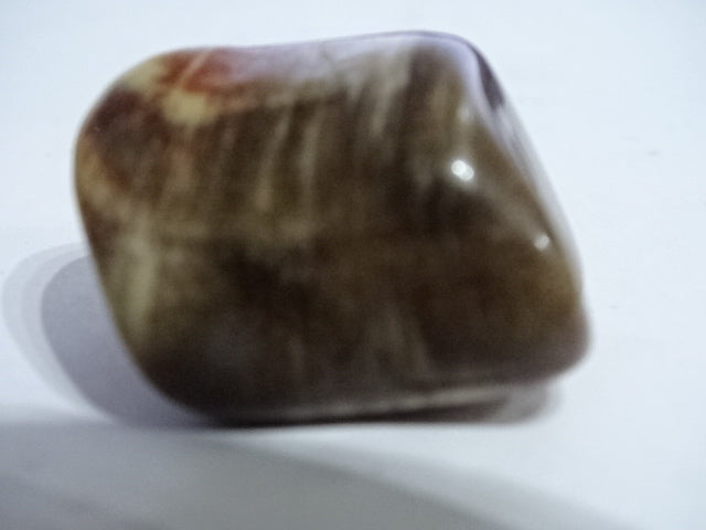 Petrified Wood  Polished and Tumbled Palm Stone  3 x 3.5cm Approx and Mini Smudge Set