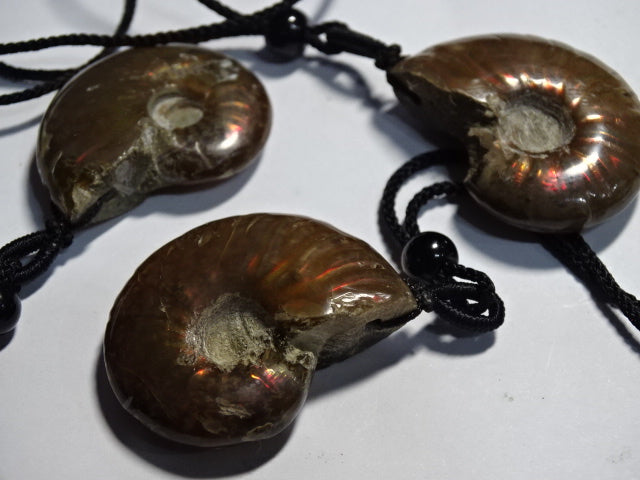 Beautiful Polished Ammonite Pendant 3 x 3cm  - 2 x 3cm approx