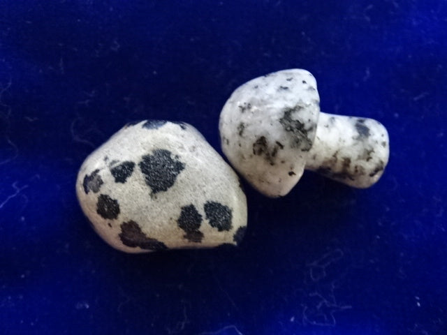 Cute Mini Gemstone Gift   'Lucky Heart and Lucky Mushroom'   In Velvet pouch