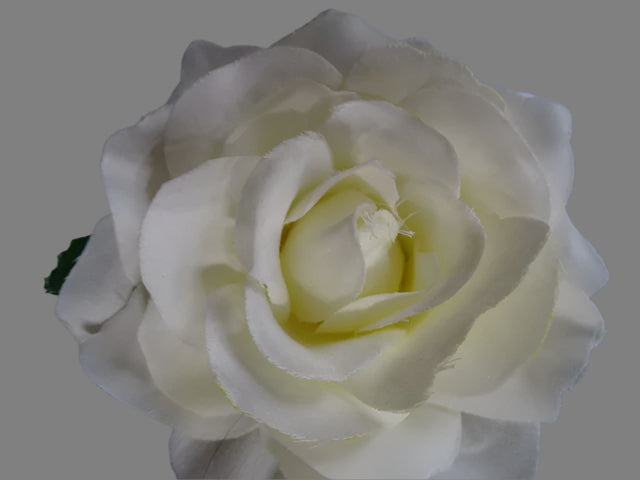 Set Of 5 Large Clip On Silky Roses.  Ideal for Wedding, Hair, Home Decor or Shop Decor