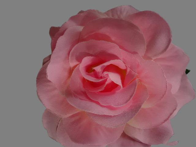 Set Of 5 Large Clip On Silky Roses.  Ideal for Wedding, Hair, Home Decor or Shop Decor