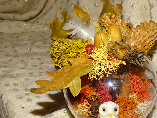 Handmade Festive Owl Diorama in Glass Dome / Jar