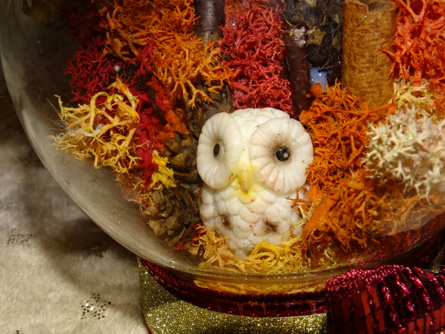 Handmade Festive Owl Diorama in Glass Dome / Jar