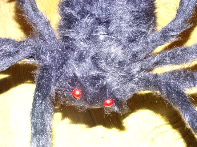 Big Black Hairy Spider For Shop Display / Home Decor / Halloween Decor