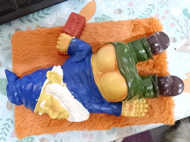 'Party Animal'   Naughty Gnome