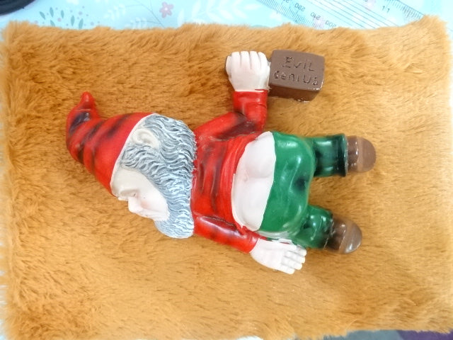 'Party Animal'  Small Sized Gnome