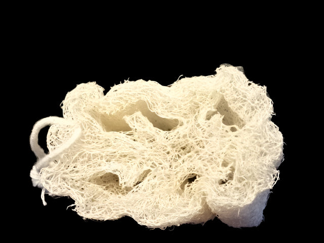 Natural Loofah Slices with Rope Hanger
