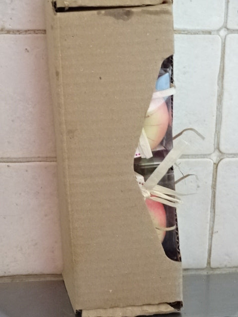 Cute Unscented Novelty Apple Candles in Gift Box