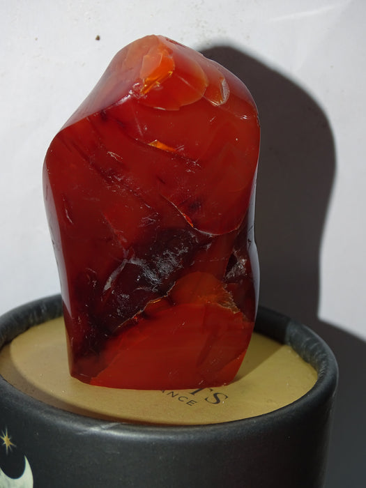 Small Red Carnelian Free form