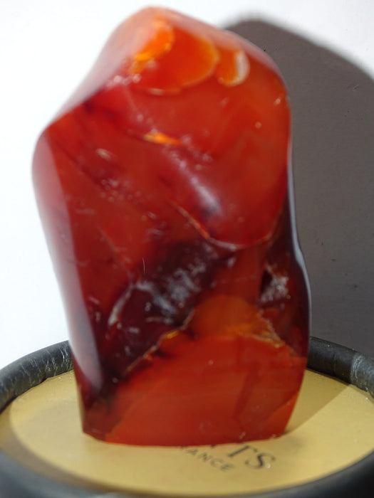 Small Red Carnelian Free form