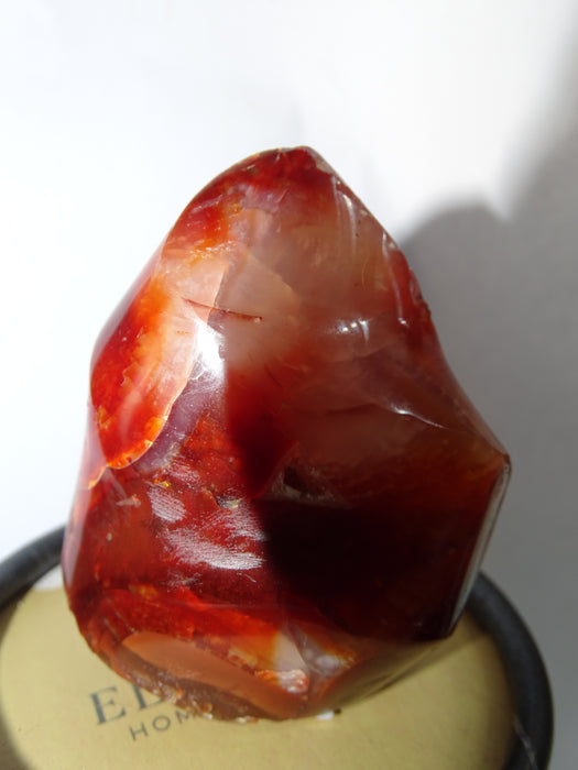Small Red Carnelian Free Form