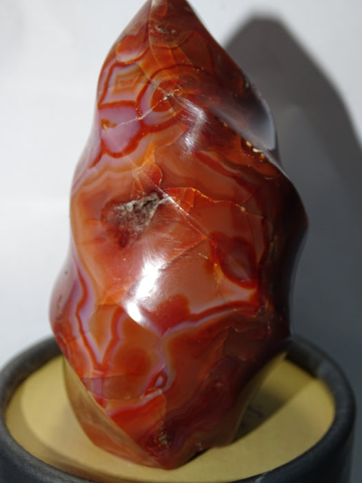 Red Carnelian Unicorn Horn Shaped Crystal