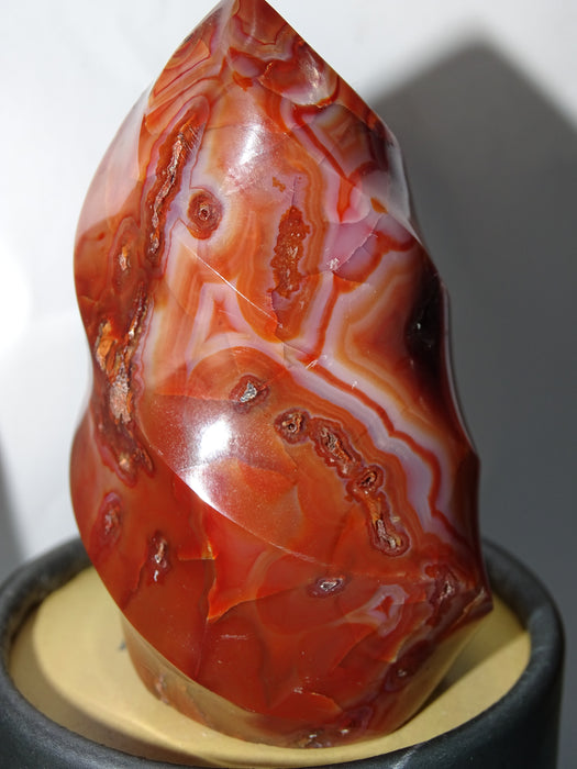 Red Carnelian Unicorn Horn Shaped Crystal