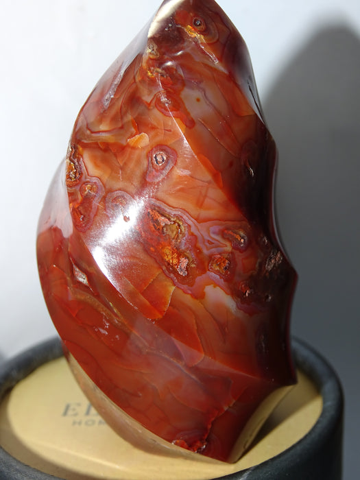 Red Carnelian Unicorn Horn Shaped Crystal