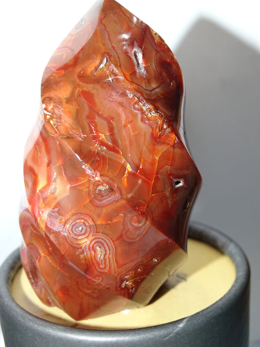Red Carnelian Unicorn Horn Shaped Crystal