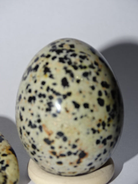 Dalmation Jasper Egg and Palm stone Set